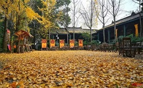 同比增长近4倍！北方最大邮轮母港见证“五一”假期“邮轮热”