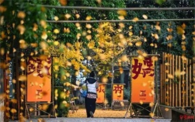 同比增长近4倍！北方最大邮轮母港见证“五一”假期“邮轮热”